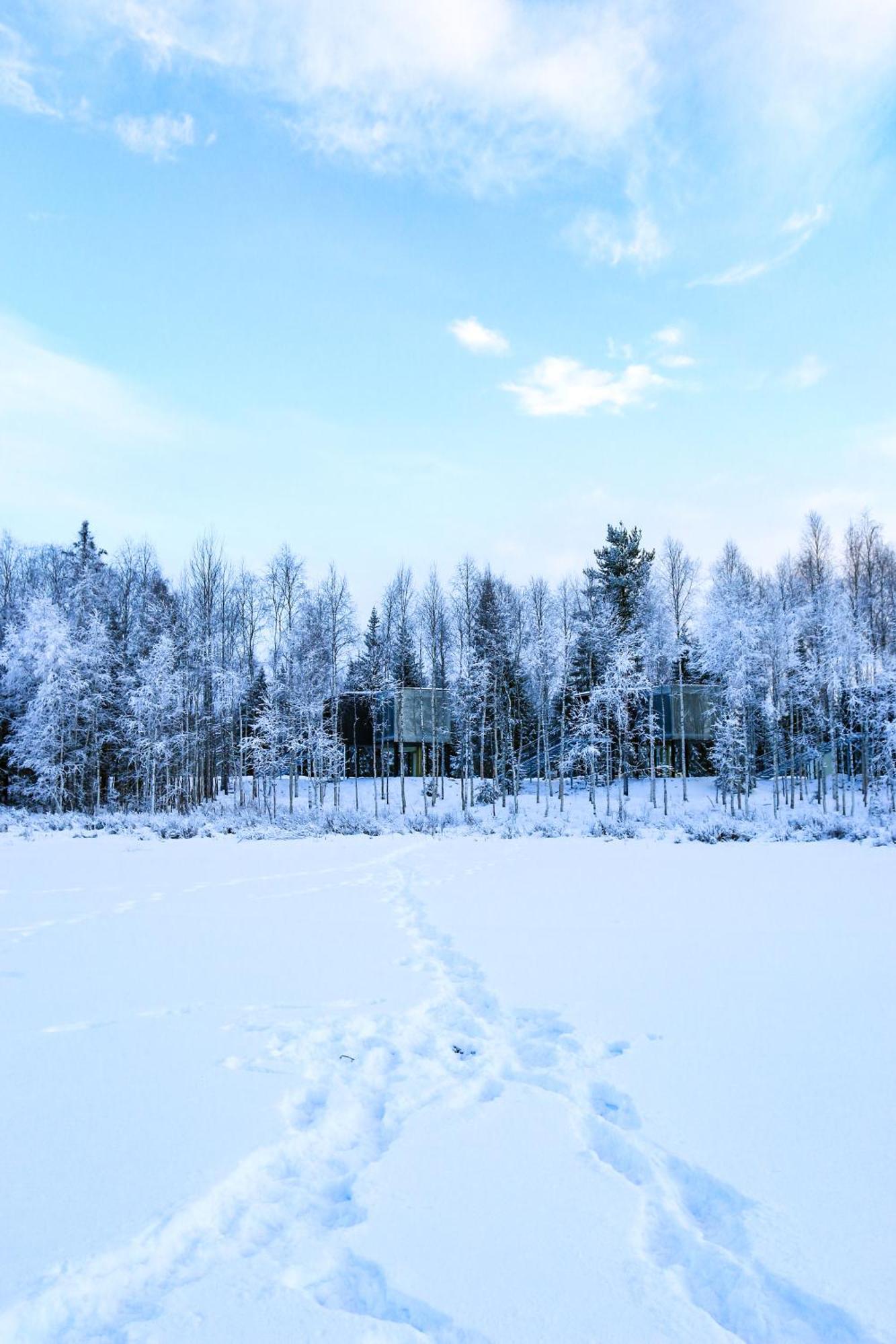 Silver Birch Resort Lapland Rovaniemi Kültér fotó