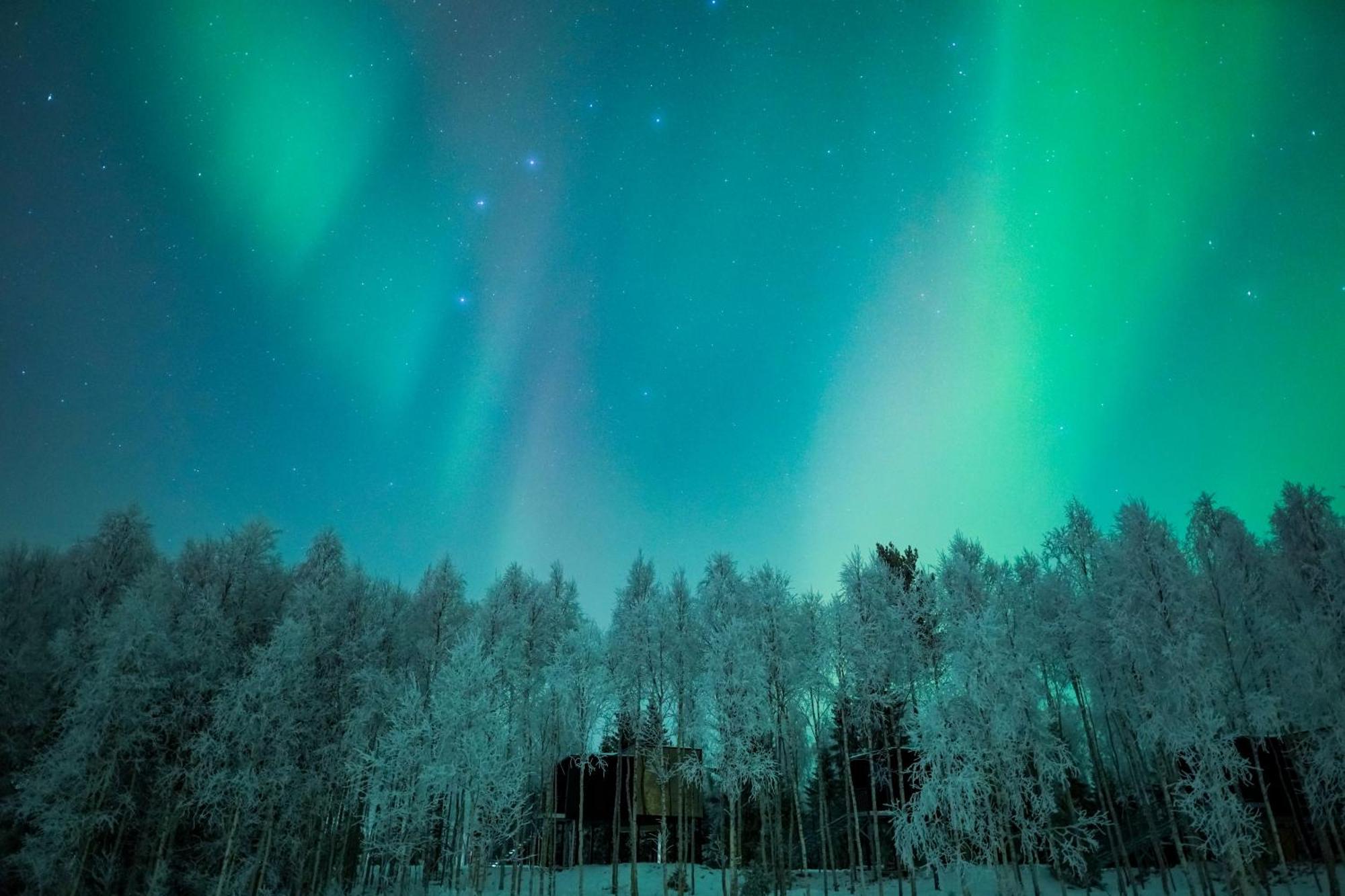 Silver Birch Resort Lapland Rovaniemi Kültér fotó
